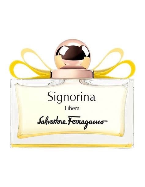 signorina perfume myer